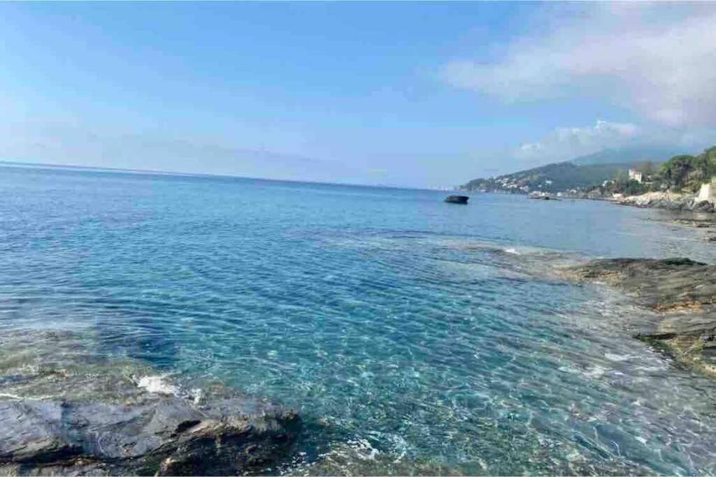 Appartement Vue Mer Avec Parking Gratuit Sur Place バスティア エクステリア 写真